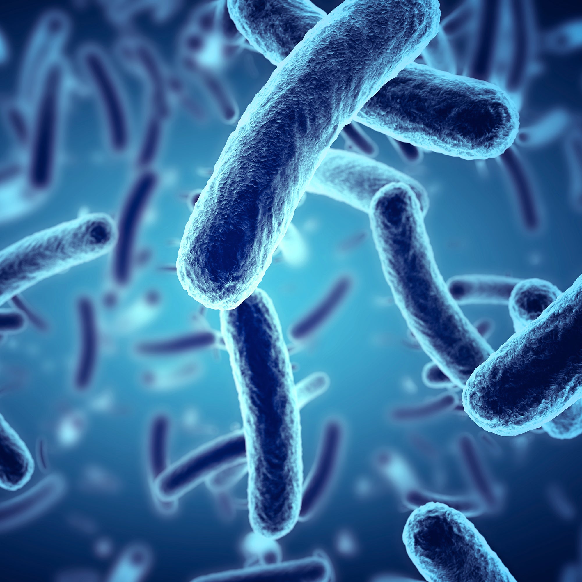 7 Science-based Ways to Improve Your Gut Microbiome