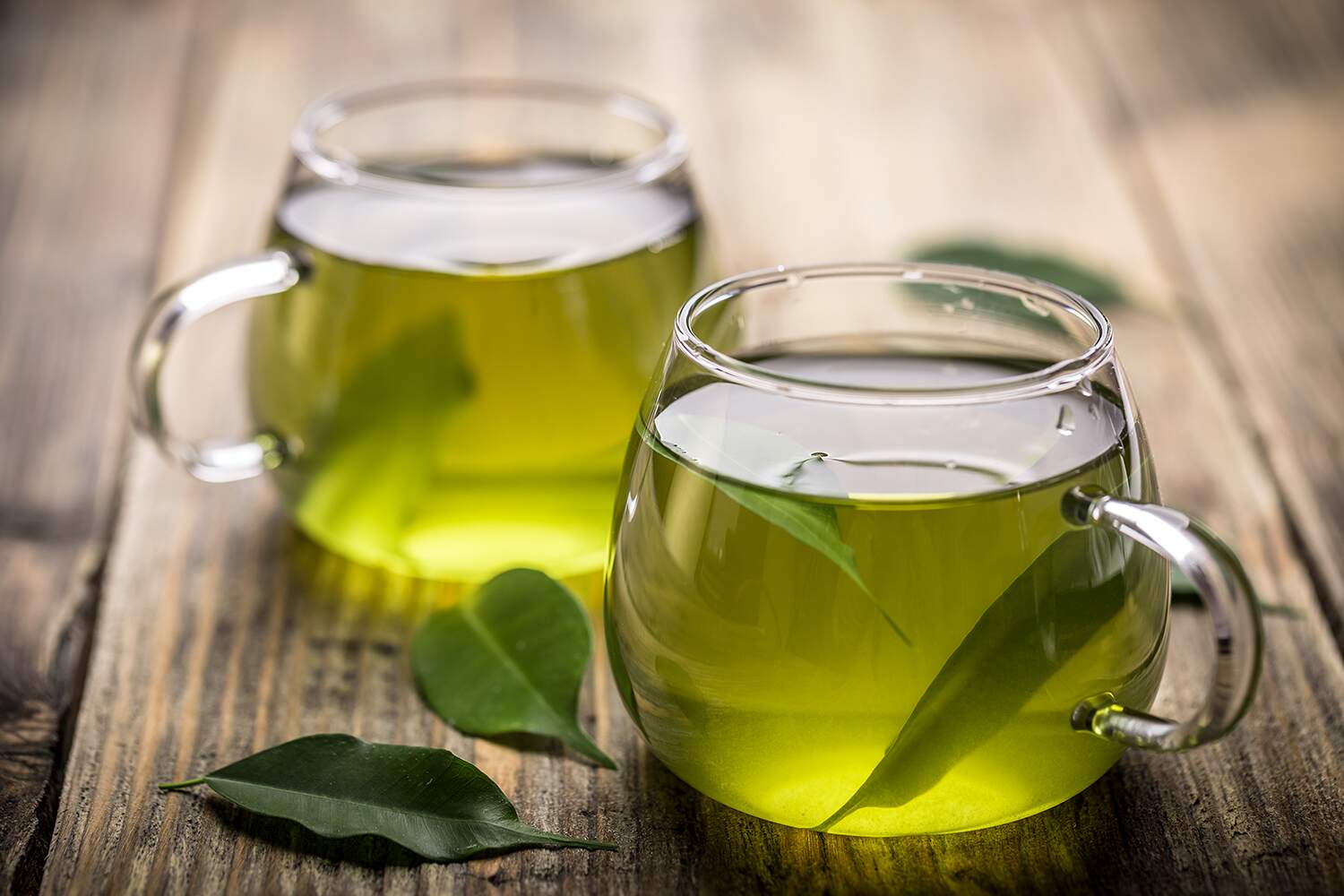 Green Tea For Leaky Gut and Managing Sugar Levels