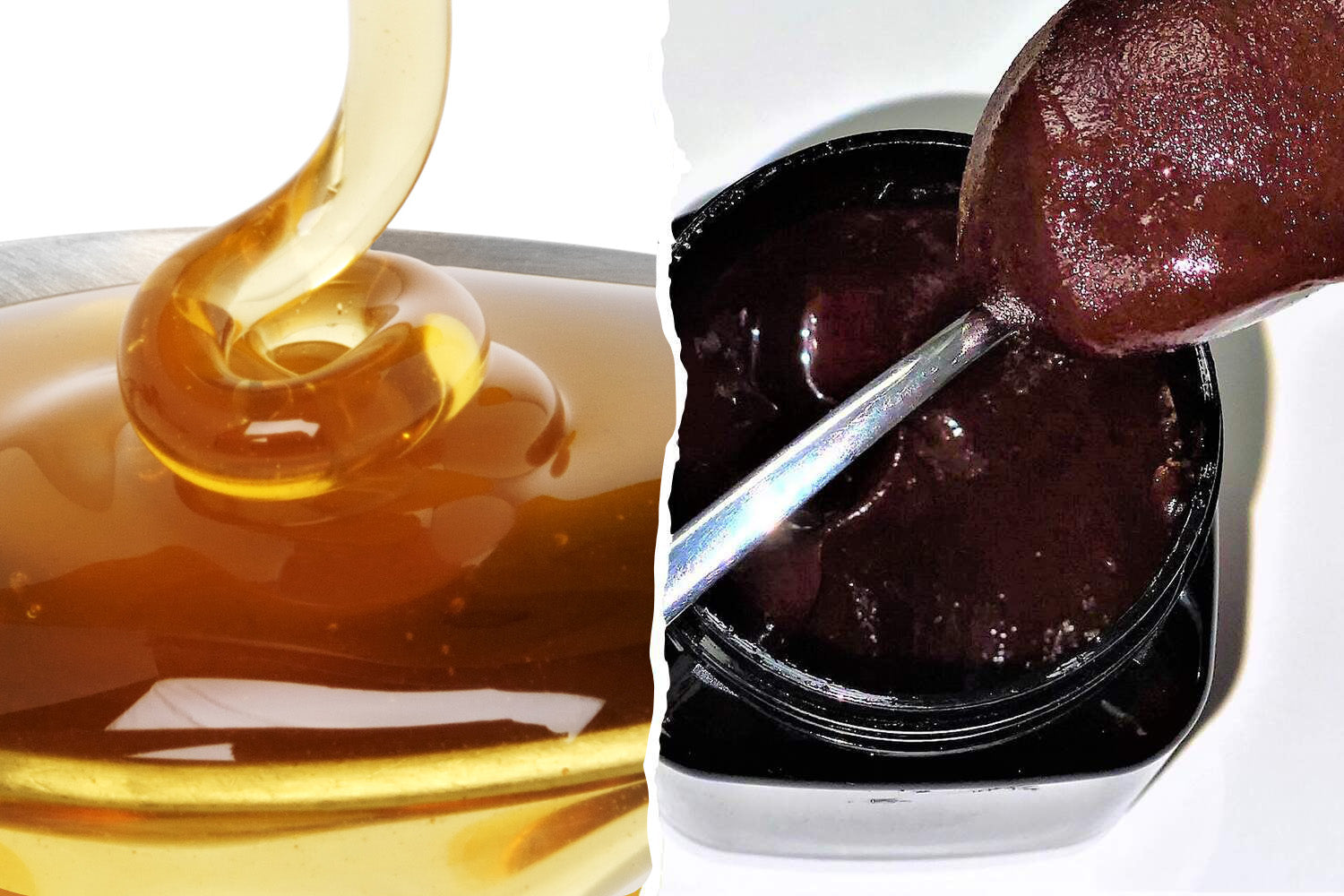 How are Monofloral and Multifloral Manuka Honey different?