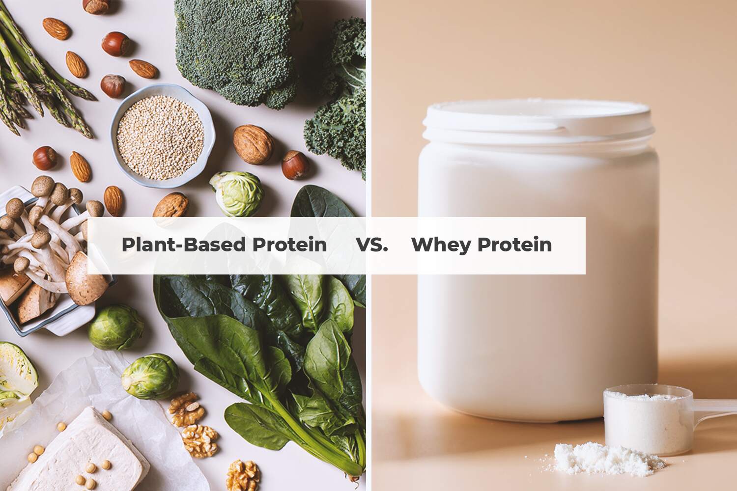 Whey Protein vs. Plant-Based Protein: Which Is Better? (Tips For Buying)