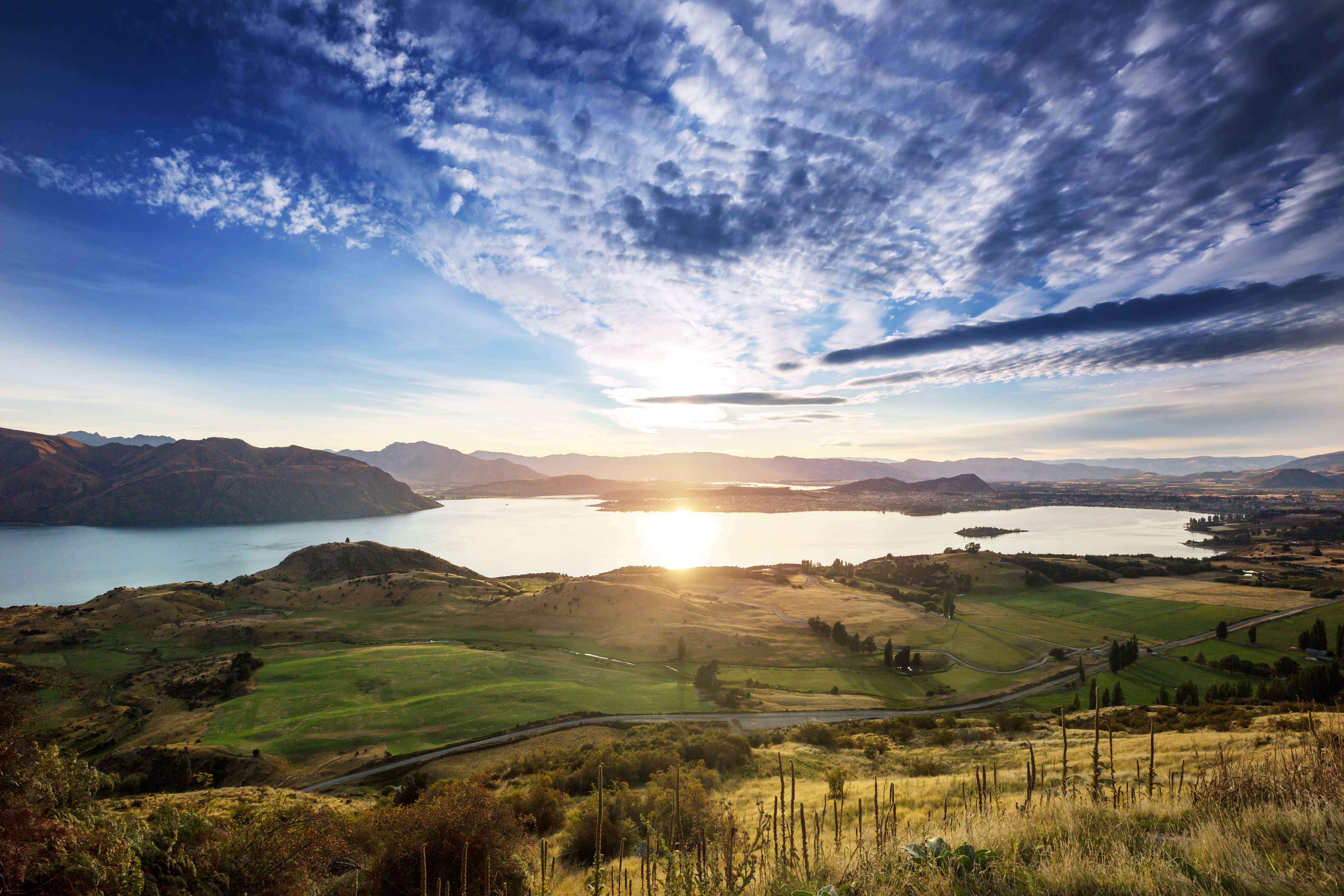 The Role of UV Rays in New Zealand Crops