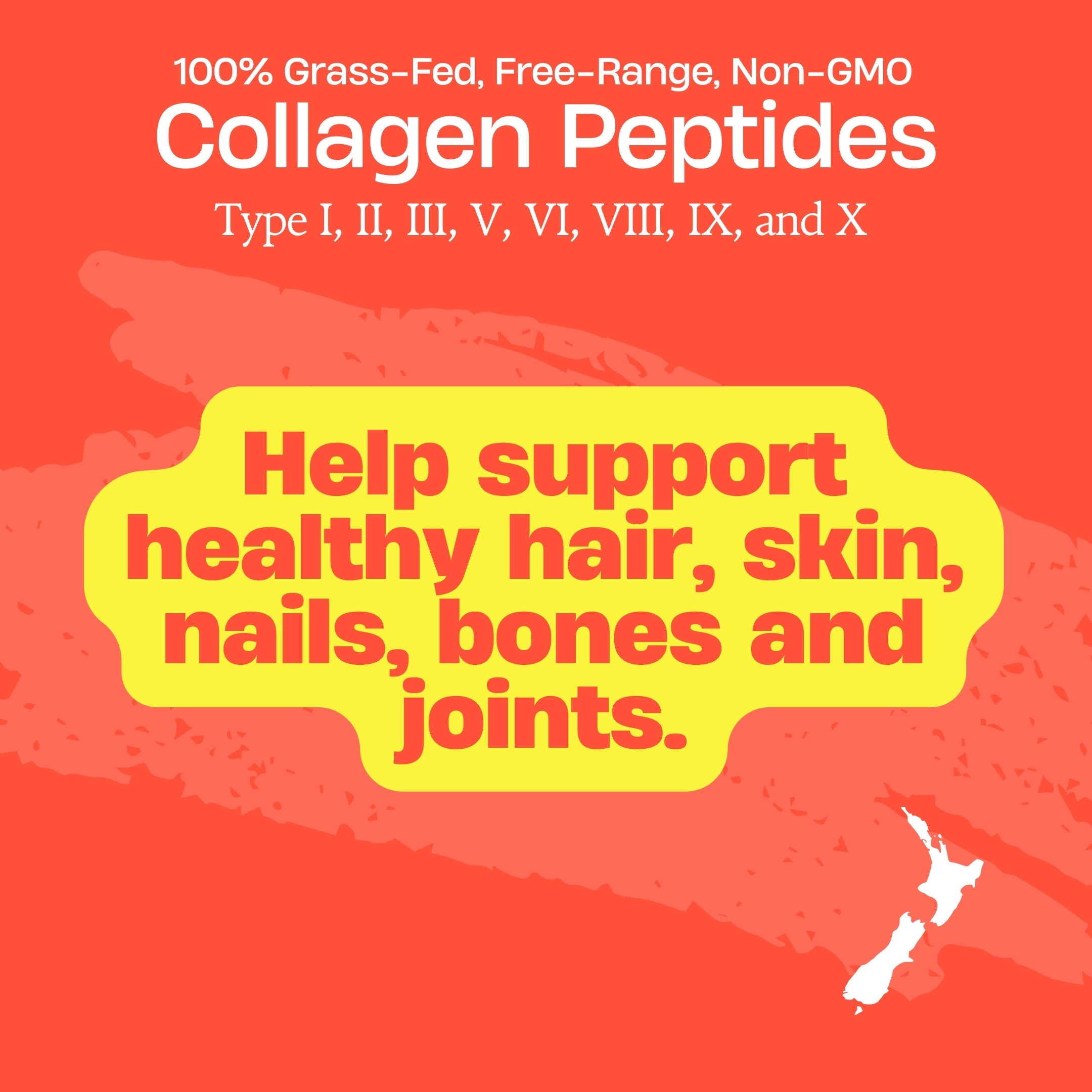 Collagen Peptides  FREZZOR Collagen peptides capsules supplement | Grass-fed collagen
