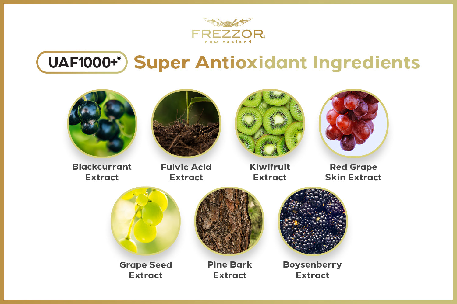 The Benefits of UAF1000+ Super Antioxidant